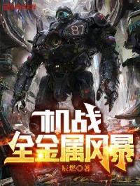 机战：全金属风暴封面图片