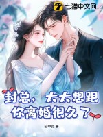 封总，太太想跟你离婚很久了封面图片