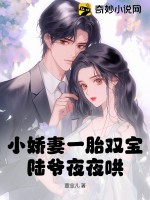 小娇妻一胎双宝，陆爷夜夜哄！封面图片
