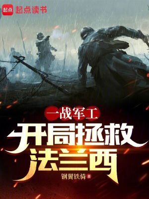 我在一战当财阀：开局拯救法兰西封面图片