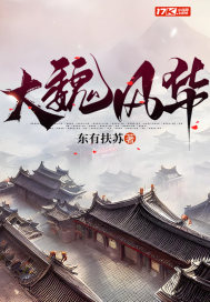 大魏风华封面图片