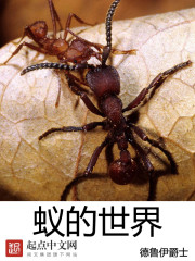 蚁的世界封面图片
