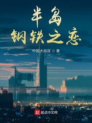 半岛钢铁之恋封面图片