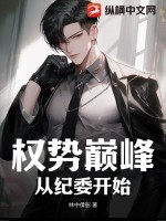 权势巅峰：从纪委开始封面图片