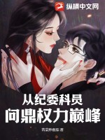 从纪委科员问鼎权力巅峰封面图片