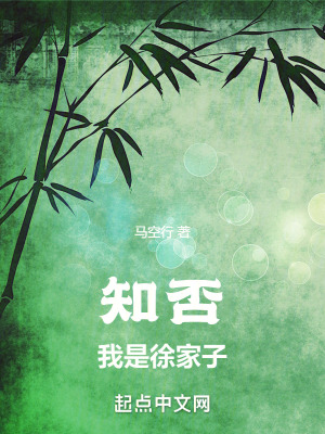 知否：我是徐家子封面图片