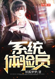 系统体验员封面图片