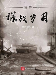 我的谍战岁月封面图片