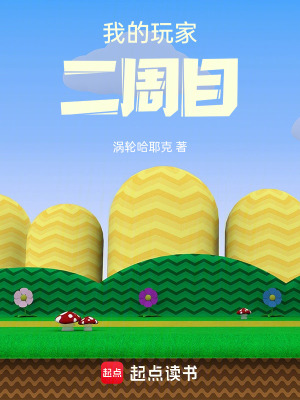 我的玩家二周目封面图片