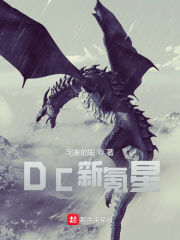 DC新氪星封面图片