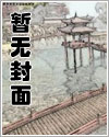 名侦探世界里的巫师封面图片