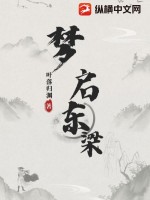 梦启东梁封面图片