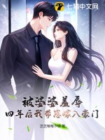 被婆婆羞辱，四年后我带崽嫁入豪门封面图片