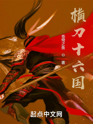 横刀十六国封面图片
