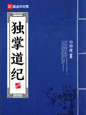 独掌道纪封面图片