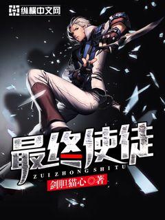 最终使徒封面图片