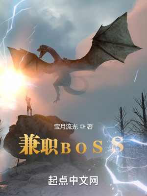 兼职BOSS封面图片