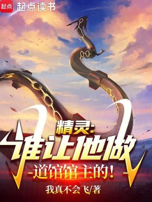 精灵，谁让他做道馆馆主的封面图片