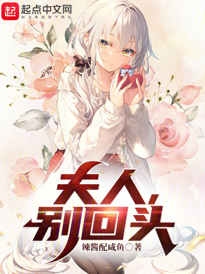 夫人，别回头封面图片