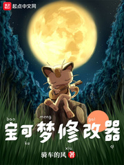 宝可梦修改器封面图片